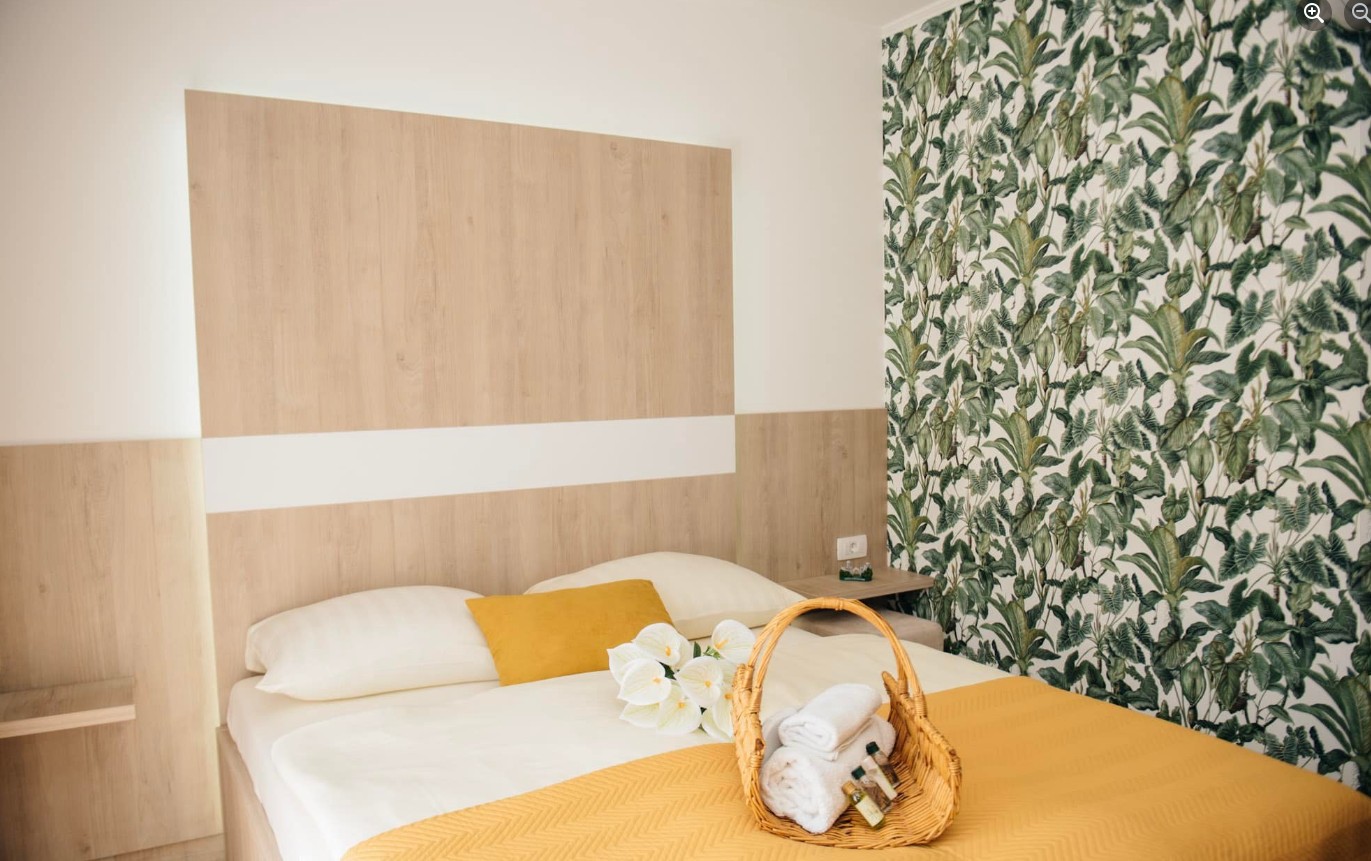 Finding Pet-Friendly Hotels in Mostar: No More Hassle!